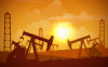 Нефтяная отрасль: между устойчивостью сегодня и вызовами завтра
